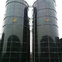 الغاز الحيوي EGSB Reactor Upflow اللاهوائي الحمأة بطانية الهضم لسماد الدجاج