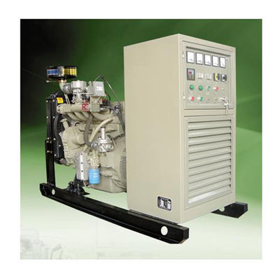 أصغر 200KW مولد كهرباء الغاز الحيوي مولد الميثان الصامت الكهرباء
