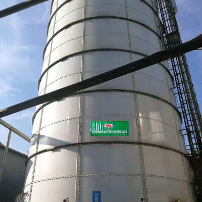 800m3 اللاهوائية Digester Tank CSTR Advanced Waste Digester Biogas Tank